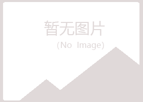 安图县山柳金属有限公司